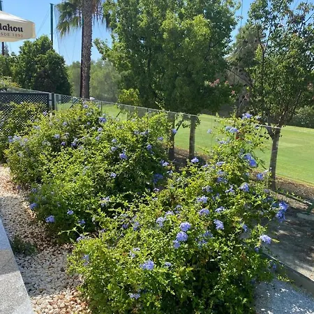Garzas De Playa Granada 아파트
